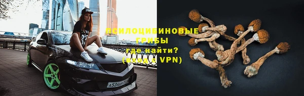 метадон Арсеньев