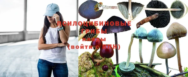 твердый Вязники