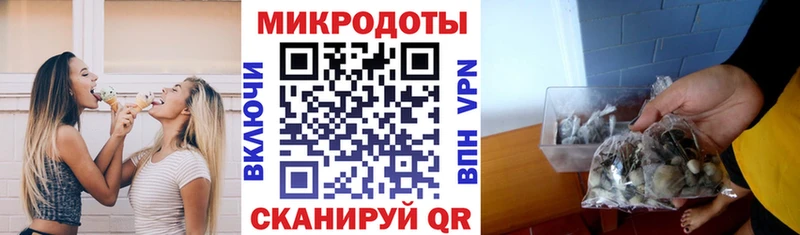 ссылка на мегу ТОР  Сольвычегодск  Псилоцибиновые грибы мухоморы 